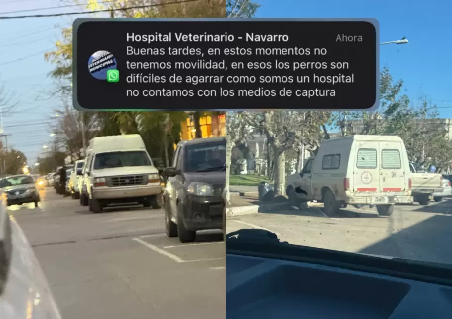 Desde UNAN denuncian el cierre del complejo y peligra la vida de varios perros