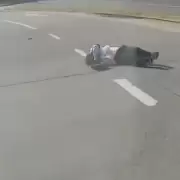 "¡No, por favor! ¡Llamen a la ambulancia!": una mujer fue atropellada por un colectivo y el dramático momento quedó grabado