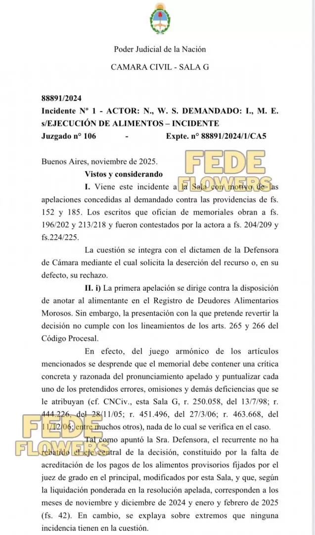 La Justicia argentina confirmó su inclusión en el Registro de Deudores Alimentarios Morosos