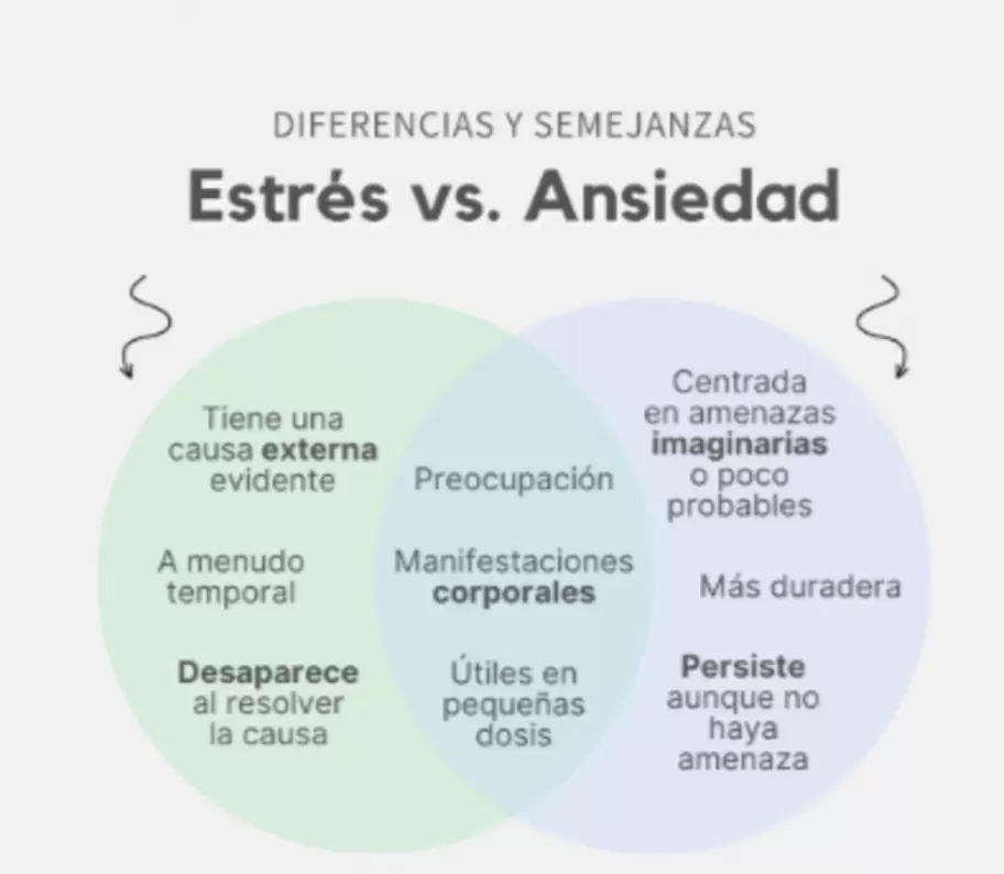 Ansiedad y estrés suelen confundirse pero son estados completamente diferentes