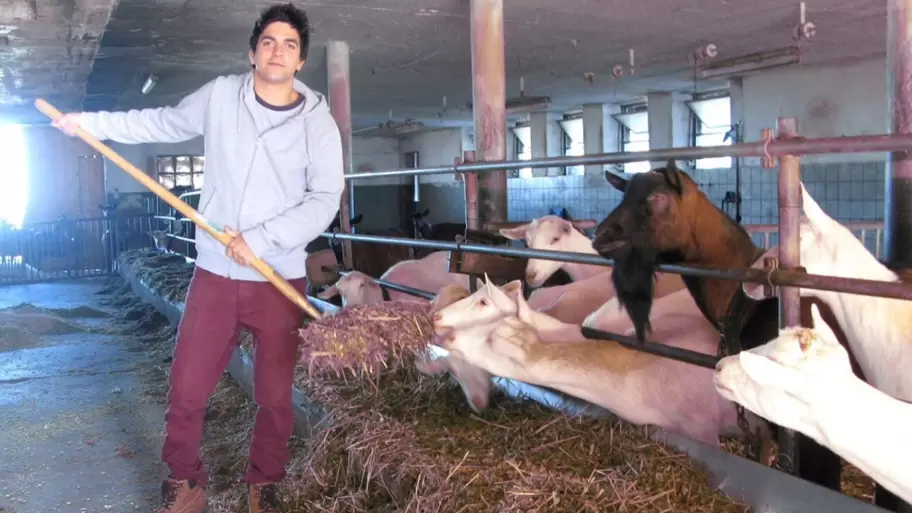 Rodrigo Fernández Rumi