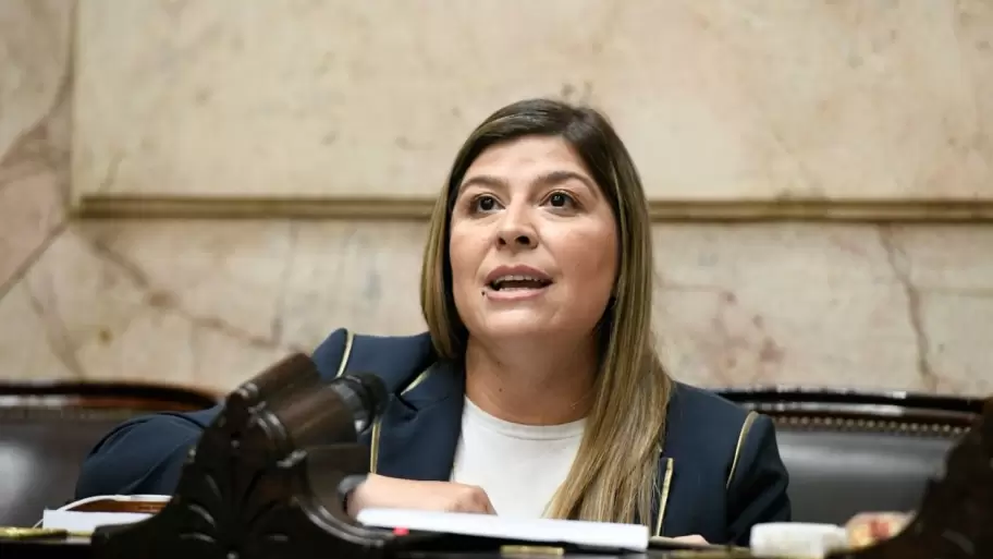 La diputada Verónica Razzini