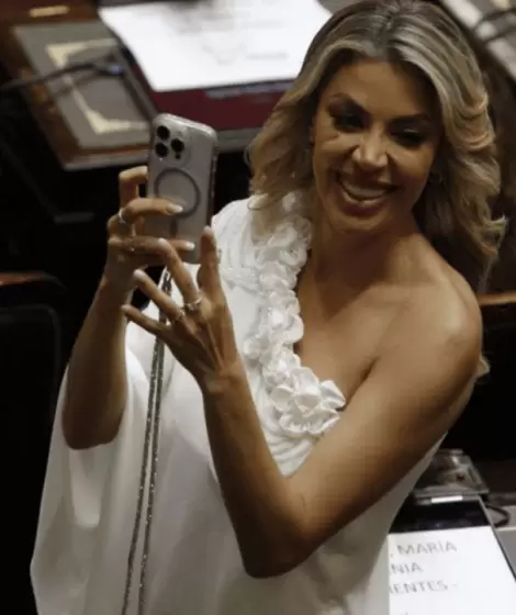 Virginia Gallardo en su rol de diputada nacional.