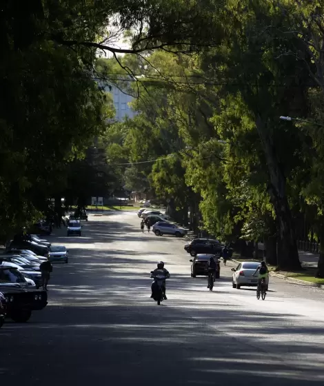 El Paseo del Bosque en La Plata.