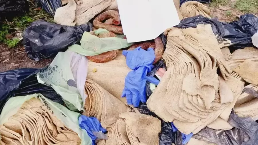 Decomisan "milanesas" hechas con papel higiénico en plena fiesta patronal