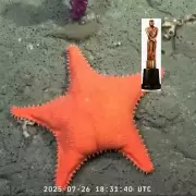 El Gordo Dan, Diego Poggi y la Tora quedaron en rid�culo tras criticar el Mart�n Fierro de Oro al Conicet: "Pesados"