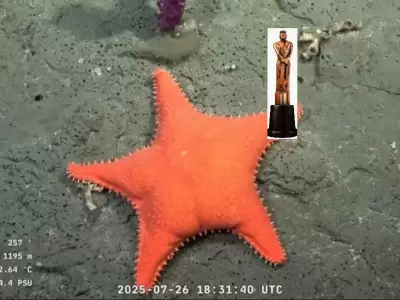 El Mart�n Fierro de oro fue para el Conicet pero algunos detractores se quejaron