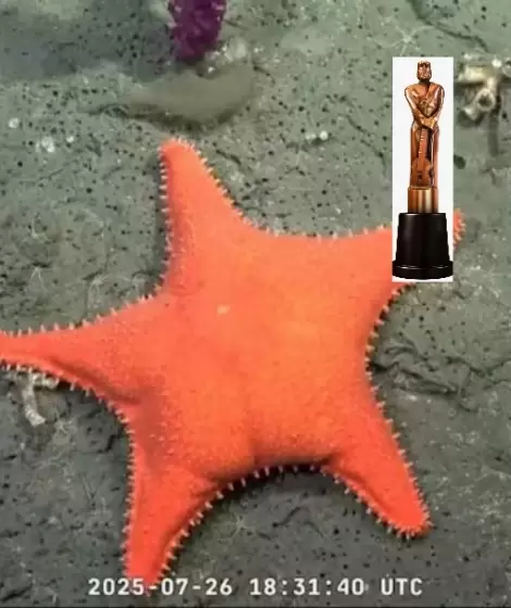 El Mart�n Fierro de oro fue para el Conicet pero algunos detractores se quejaron