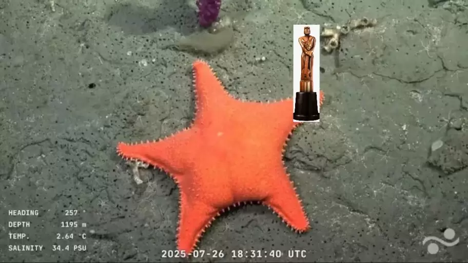 El Mart�n Fierro de oro fue para el Conicet pero algunos detractores se quejaron