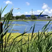 Contaminación farmacéutica en el Río de la Plata: la amenaza silenciosa del viagra en el agua