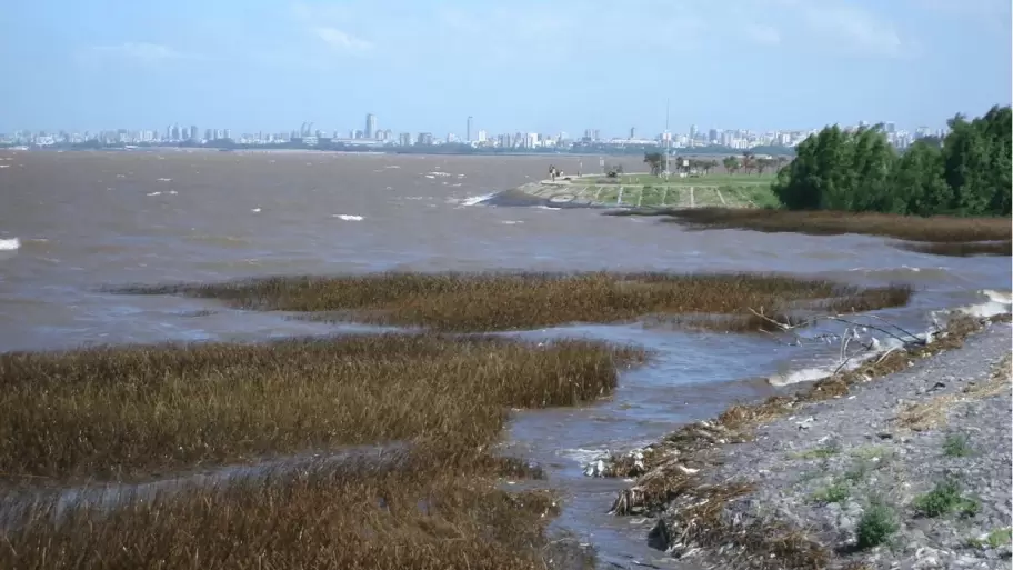 Río de la Plata