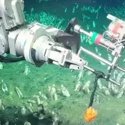 CONICET zarp� una nueva misi�n cient�fica en el fondo del mar: del Mart�n Fierro de Oro al Atl�ntico Sur