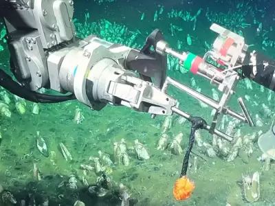 Nueva expedici�n del CONICET