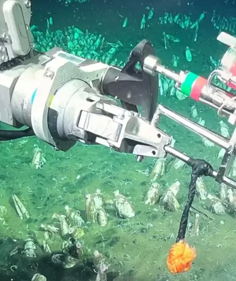 Nueva expedici�n del CONICET