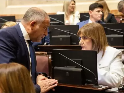 Patricia Bullrich dej� en claro que la prioridad es dictaminar este viernes