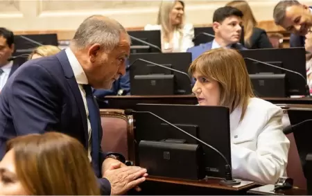 Patricia Bullrich dej� en claro que la prioridad es dictaminar este viernes