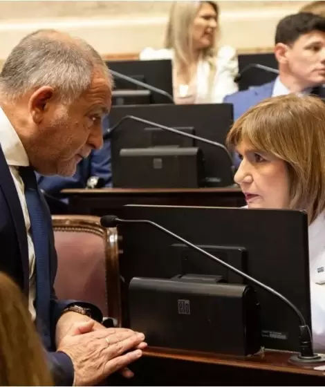 Patricia Bullrich dej� en claro que la prioridad es dictaminar este viernes