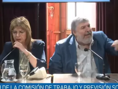 La designaci�n de Patricia Bullrich al frente de la Comisi�n de Trabajo del Senado desat� una escena de tensi�n in�dita