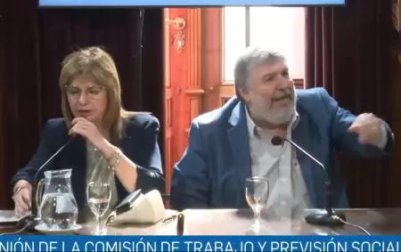 La designaci�n de Patricia Bullrich al frente de la Comisi�n de Trabajo del Senado desat� una escena de tensi�n in�dita