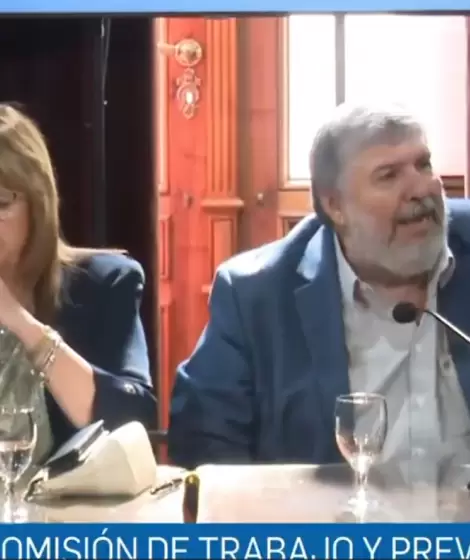 La designaci�n de Patricia Bullrich al frente de la Comisi�n de Trabajo del Senado desat� una escena de tensi�n in�dita
