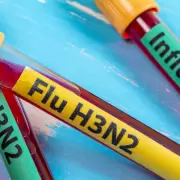 Alerta sanitaria: detectan los primeros casos de Influenza A(H3N2) Subclado K en Argentina