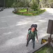 Angustia en la cordillera: buscan contrarreloj a un hombre desaparecido hace m�s de un mes en Bariloche