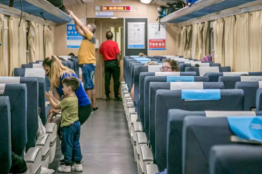 Ahora se puede trasladar mascotas en micros y trenes de larga distancia