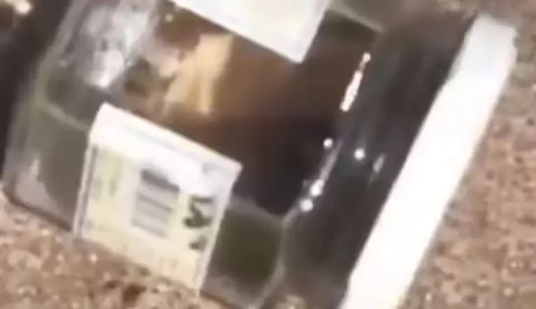 La incre�ble historia de la Mujer de los Cuchillos