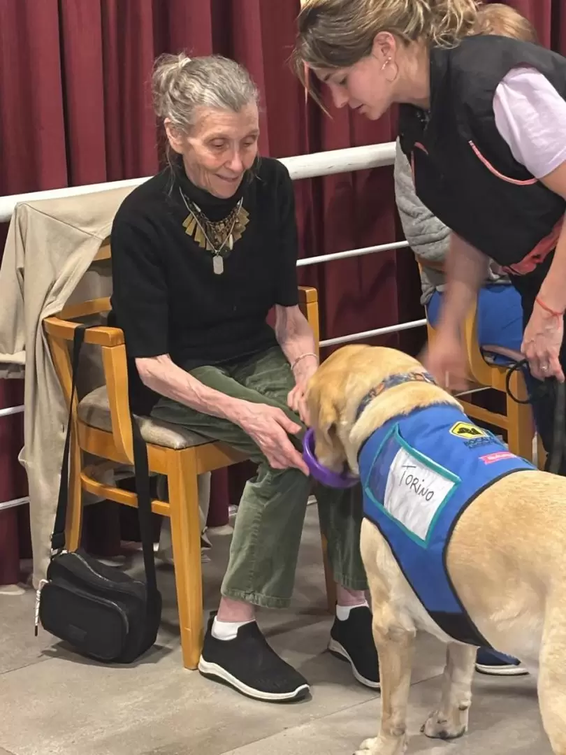 La caninoterapia gana cada día más adeptos en tratamientos gerontológicos