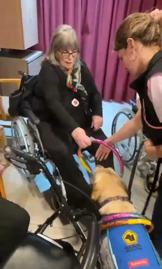 La caninoterapia gana cada día más adeptos en tratamientos gerontológicos