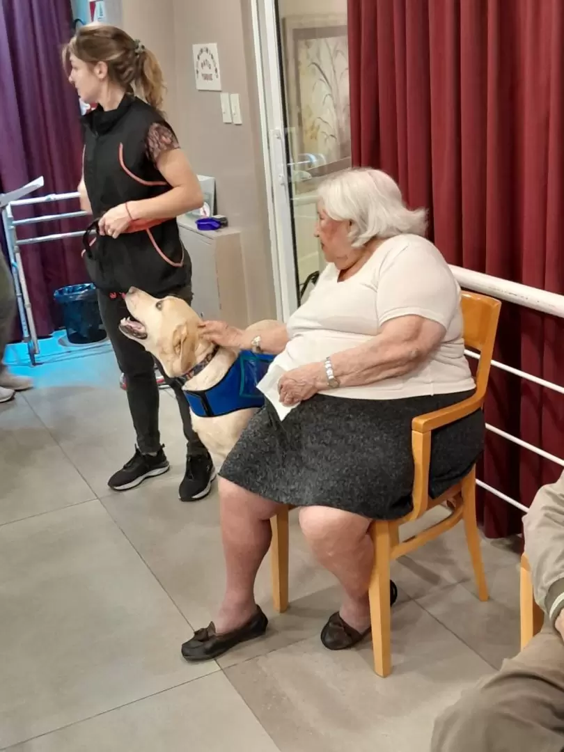 La caninoterapia gana cada día más adeptos en tratamientos gerontológicos