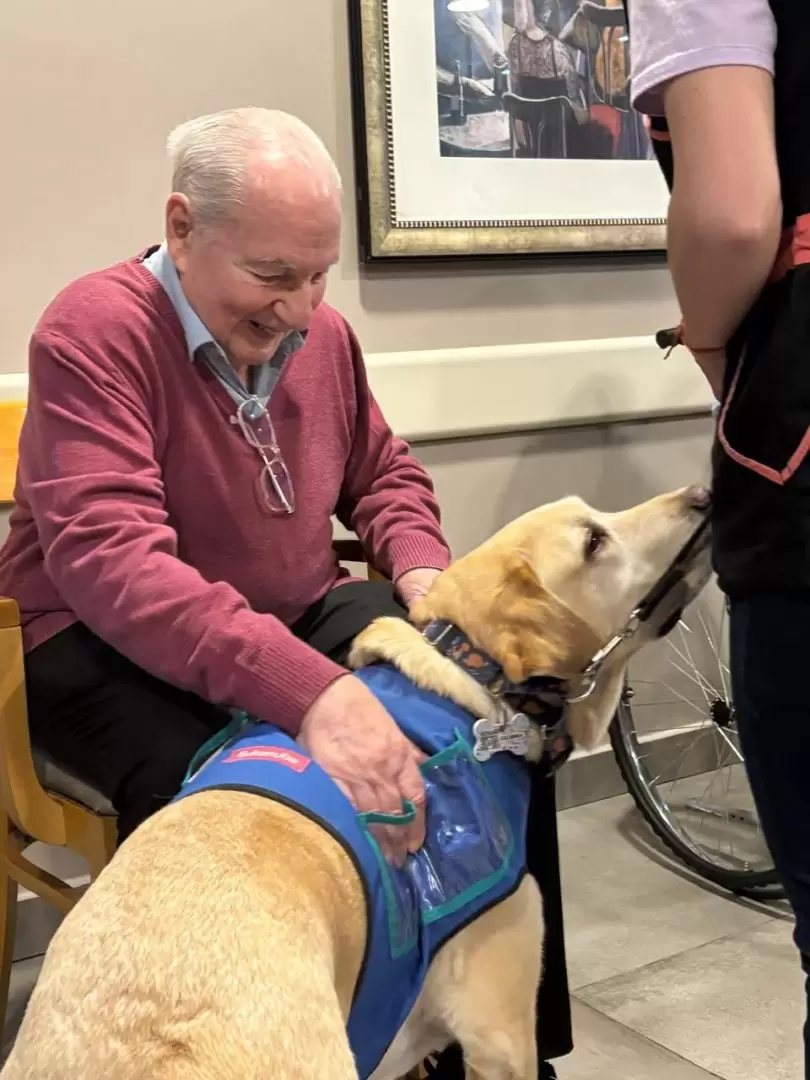 La caninoterapia gana cada día más adeptos en tratamientos gerontológicos