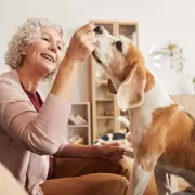 Caninoterapia, la terapia que transforma la vida en los geri�tricos: su impacto en las personas mayores