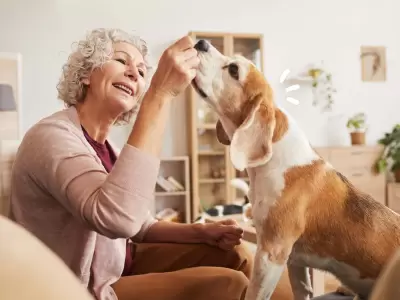 La caninoterapia gana cada d�a m�s adeptos en tratamientos gerontol�gicos