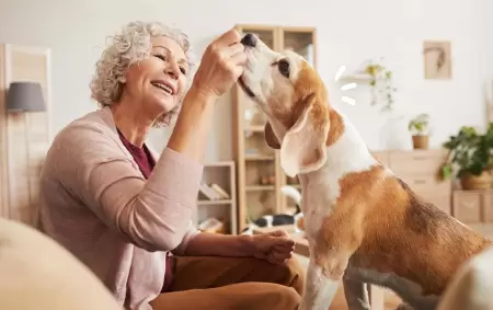 La caninoterapia gana cada d�a m�s adeptos en tratamientos gerontol�gicos
