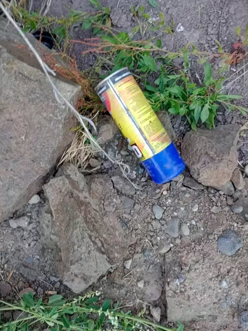 El camionero arroj� el aerosol al piso y se retir�.