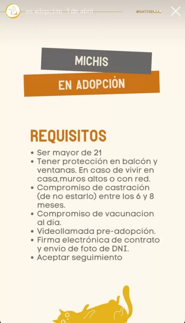 Gatiseñal compartió algunos requisitos para adaptar