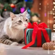 No es un capricho ni un objeto: por qu� adoptar un animal en las fiestas puede marcar una vida para siempre