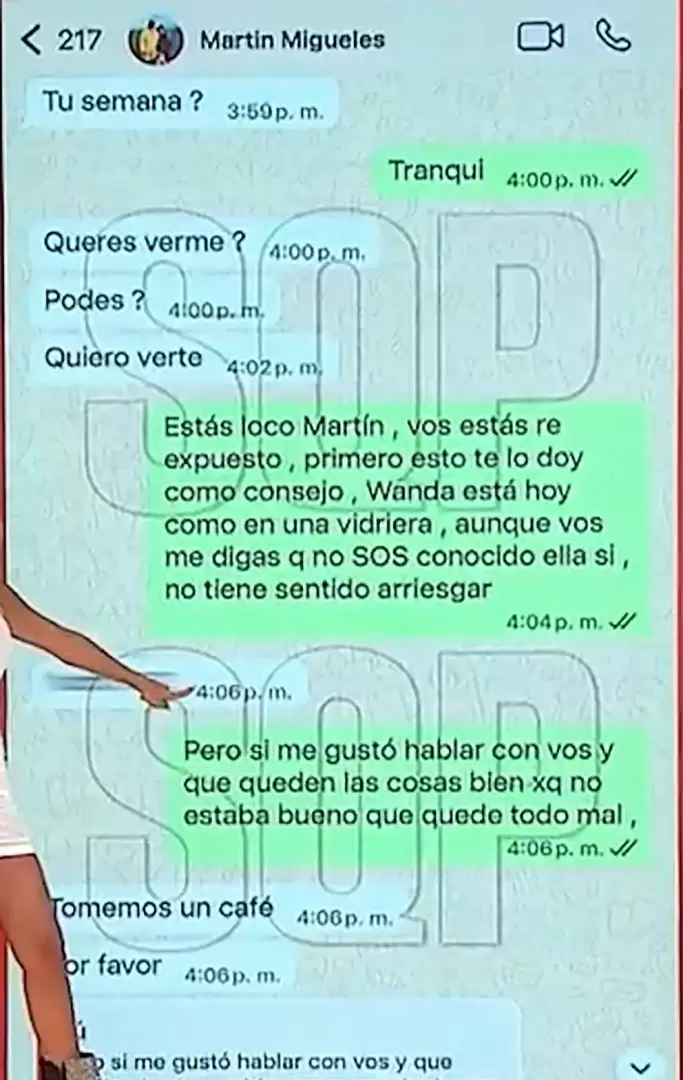 Los chats en los que el empresario habría intentado reencontrarse con su ex, la modelo Claudia Ciardone.