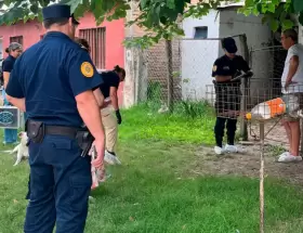 Intento de femicidio en Nogoy�