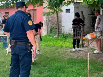 Intento de femicidio en Nogoy�