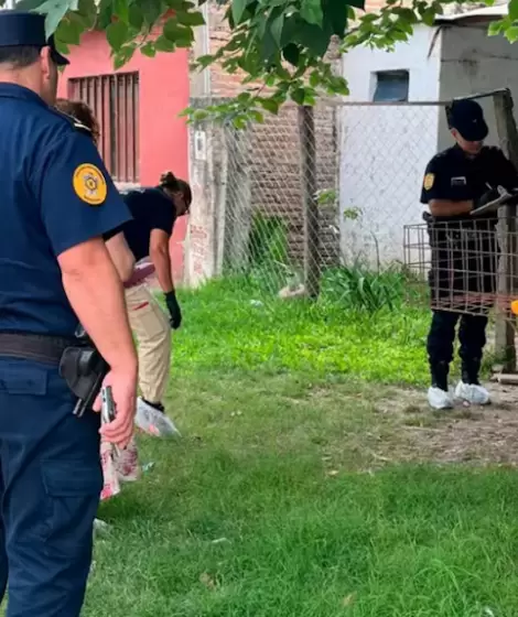 Intento de femicidio en Nogoy�