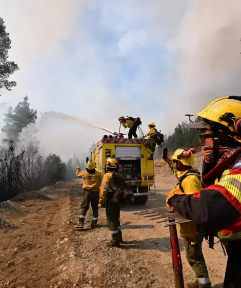 Incendios forestales intencionales en El hoyo, Chubut