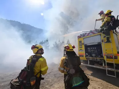 Brigadistas trabajan en Chubut