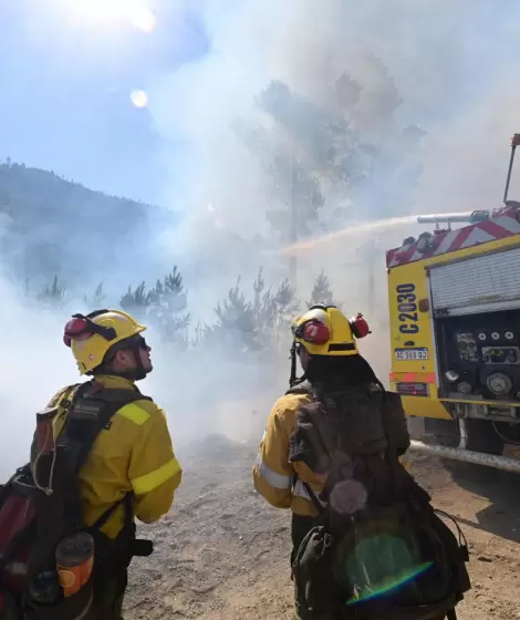 Brigadistas trabajan en Chubut