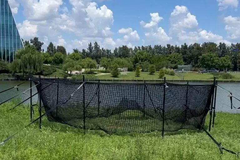 Carpinchos en Nordelta