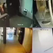 Golpe� brutalmente a un perrito al grito de "�Viva Hitler! �Mueran todos!"