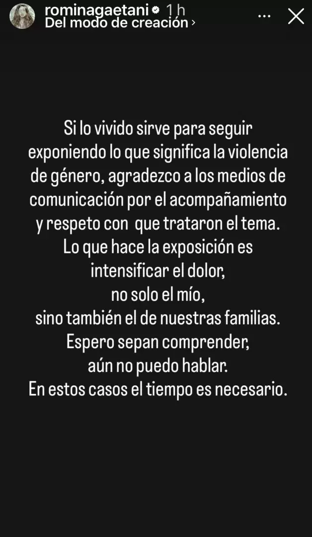 El mensaje de  Romina Gaetani tras los allanamientos en el domicilio de Luis Cavanagh