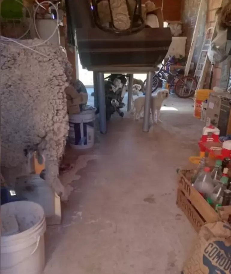 Defensa Civil y los vecinos de Comodoro Rivadavia rescataron m�s de 20 mascotas tras la evacuaci�n de m�s de 300 vecinos por el desplazamiento.