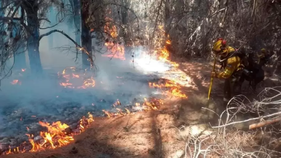 M�s de 35 mil hect�reas ya fueron arrasadas mientras brigadistas combaten las llamas